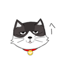 ジト目の猫（個別スタンプ：10）