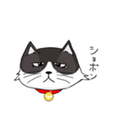 ジト目の猫（個別スタンプ：11）