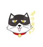 ジト目の猫（個別スタンプ：12）