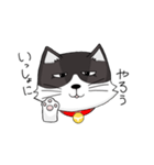 ジト目の猫（個別スタンプ：13）