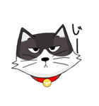 ジト目の猫（個別スタンプ：14）