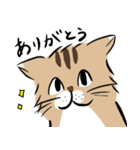 島田さんちのモッちゃん（個別スタンプ：1）