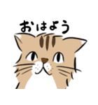 島田さんちのモッちゃん（個別スタンプ：3）