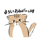 島田さんちのモッちゃん（個別スタンプ：4）
