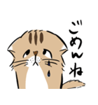 島田さんちのモッちゃん（個別スタンプ：5）