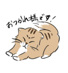 島田さんちのモッちゃん（個別スタンプ：6）