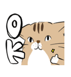 島田さんちのモッちゃん（個別スタンプ：7）