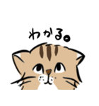 島田さんちのモッちゃん（個別スタンプ：9）