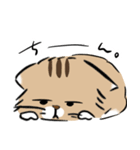 島田さんちのモッちゃん（個別スタンプ：13）