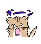 島田さんちのモッちゃん（個別スタンプ：14）