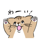 島田さんちのモッちゃん（個別スタンプ：15）