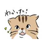 島田さんちのモッちゃん（個別スタンプ：17）