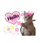 猫さんLove2（個別スタンプ：5）