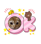 猫さんLove2（個別スタンプ：7）
