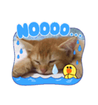 猫さんLove2（個別スタンプ：9）