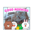 猫さんLove2（個別スタンプ：10）
