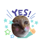 猫さんLove2（個別スタンプ：11）