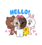 猫さんLove2（個別スタンプ：14）