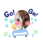 猫さんLove2（個別スタンプ：15）