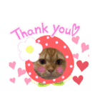 猫さんLove2（個別スタンプ：16）