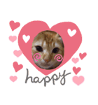 猫さんLove2（個別スタンプ：19）