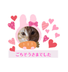 猫さんLove2（個別スタンプ：20）