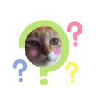 猫さんLove2（個別スタンプ：21）