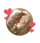 猫さんLove2（個別スタンプ：24）
