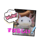 ウーパーもちこと一緒 4（個別スタンプ：4）