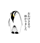 ○礼儀正しいペンギン●（個別スタンプ：4）