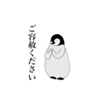 ○礼儀正しいペンギン●（個別スタンプ：10）