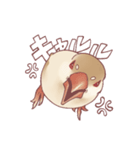 まろ眉ちゅんた（個別スタンプ：2）