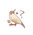 まろ眉ちゅんた（個別スタンプ：3）