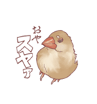 まろ眉ちゅんた（個別スタンプ：4）