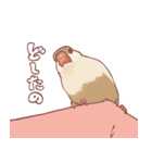 まろ眉ちゅんた（個別スタンプ：5）