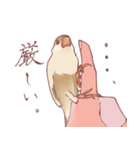 まろ眉ちゅんた（個別スタンプ：6）