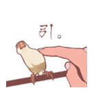 まろ眉ちゅんた（個別スタンプ：8）