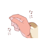 まろ眉ちゅんた（個別スタンプ：10）