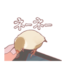 まろ眉ちゅんた（個別スタンプ：13）