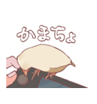 まろ眉ちゅんた（個別スタンプ：14）