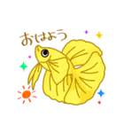 カラフルで可愛いベタの日常スタンプ（個別スタンプ：3）