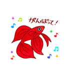 カラフルで可愛いベタの日常スタンプ（個別スタンプ：28）