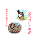 むぎちゃねこの日常（個別スタンプ：32）