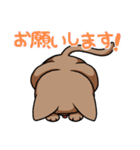 むぎちゃねこの日常（個別スタンプ：35）