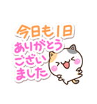 まるい三毛ねこ（個別スタンプ：38）