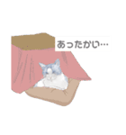 癒やしのリアル猫（個別スタンプ：9）