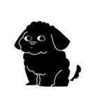黒いわんこ  こたろーくん（個別スタンプ：1）