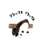 ゆるカワ⭐️パンダスタンプ（個別スタンプ：1）