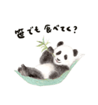 ゆるカワ⭐️パンダスタンプ（個別スタンプ：4）