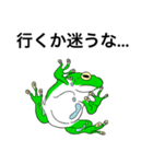 アマガエル先輩（個別スタンプ：13）